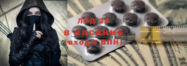 дживик Белокуриха