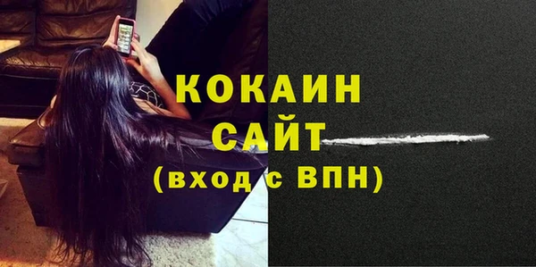 дживик Белокуриха