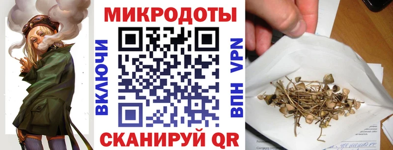 купить наркоту  shop какой сайт  Галлюциногенные грибы GOLDEN TEACHER  Кологрив 
